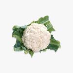 All Natural Italian-Style Chicken Meatballs